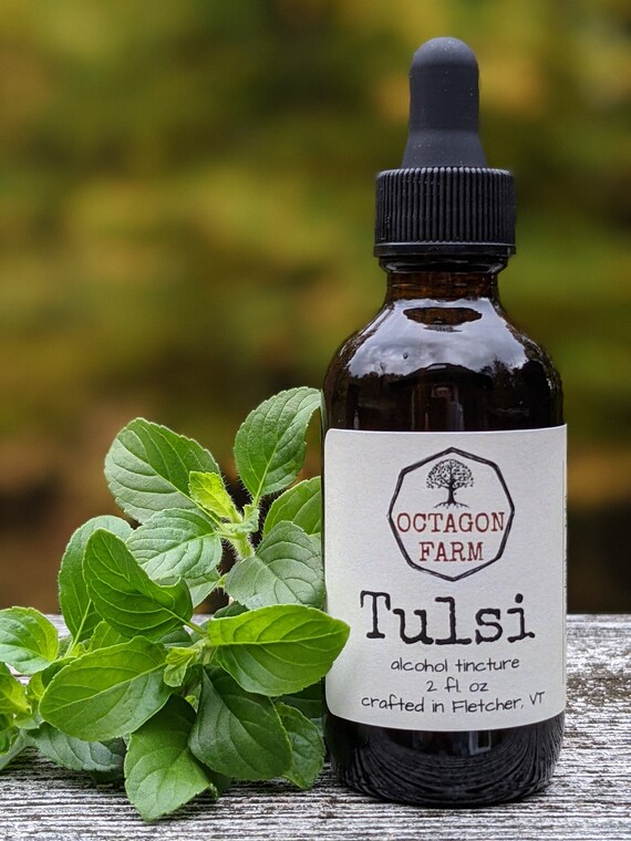 Tulsi Tincture extract holy basil natural herbal supplement medicinal Ayurvedic tea powder free shipping