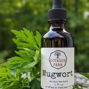 Op de afbeelding: Een bruine glazen fles met een zwarte druppelaar en een wit etiket. Het etiket zegt "Octagon Farm Mugwort alcohol tincture 2 fl oz crafted in Fletcher, VT".