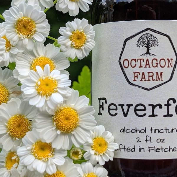 Feverfew Tincture extract natural herbal supplement migraine headache relief fever tea salve roller oil balm mask prophylactic pain