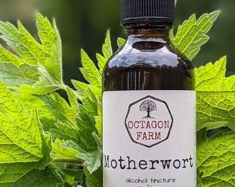 May include: A brown glass bottle with a dropper top, labeled "Octagon Farm Motherwort alcohol tincture 2 fl oz crafted in Fletcher, VT". The bottle is sitting on a wooden surface with green leaves.