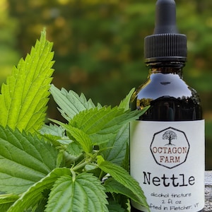 Può includere: Una bottiglia di vetro scuro di tintura di Ortica Octagon Farm con un contagocce nero. L'etichetta recita "Nettle alcohol tincture 2 fl oz crafted in Fletcher, VT." Foglie fresche di ortica verde in primo piano.