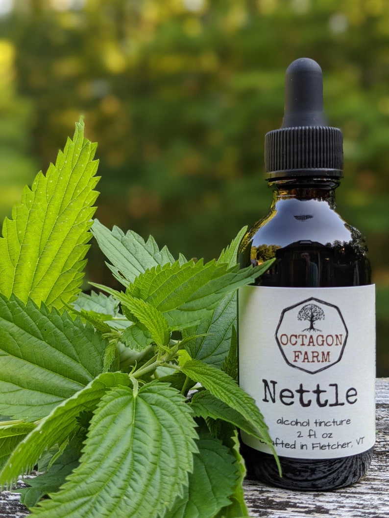 Stinging Nettle Tincture Alcohol Extract Vermont Antihistamine Etsy
