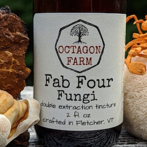 Reishi/Chaga/Lion&#39;s Mane/Cordyceps Tincture double extraction medicinal mushroom blend fungus herbal supplement extract natural free ship