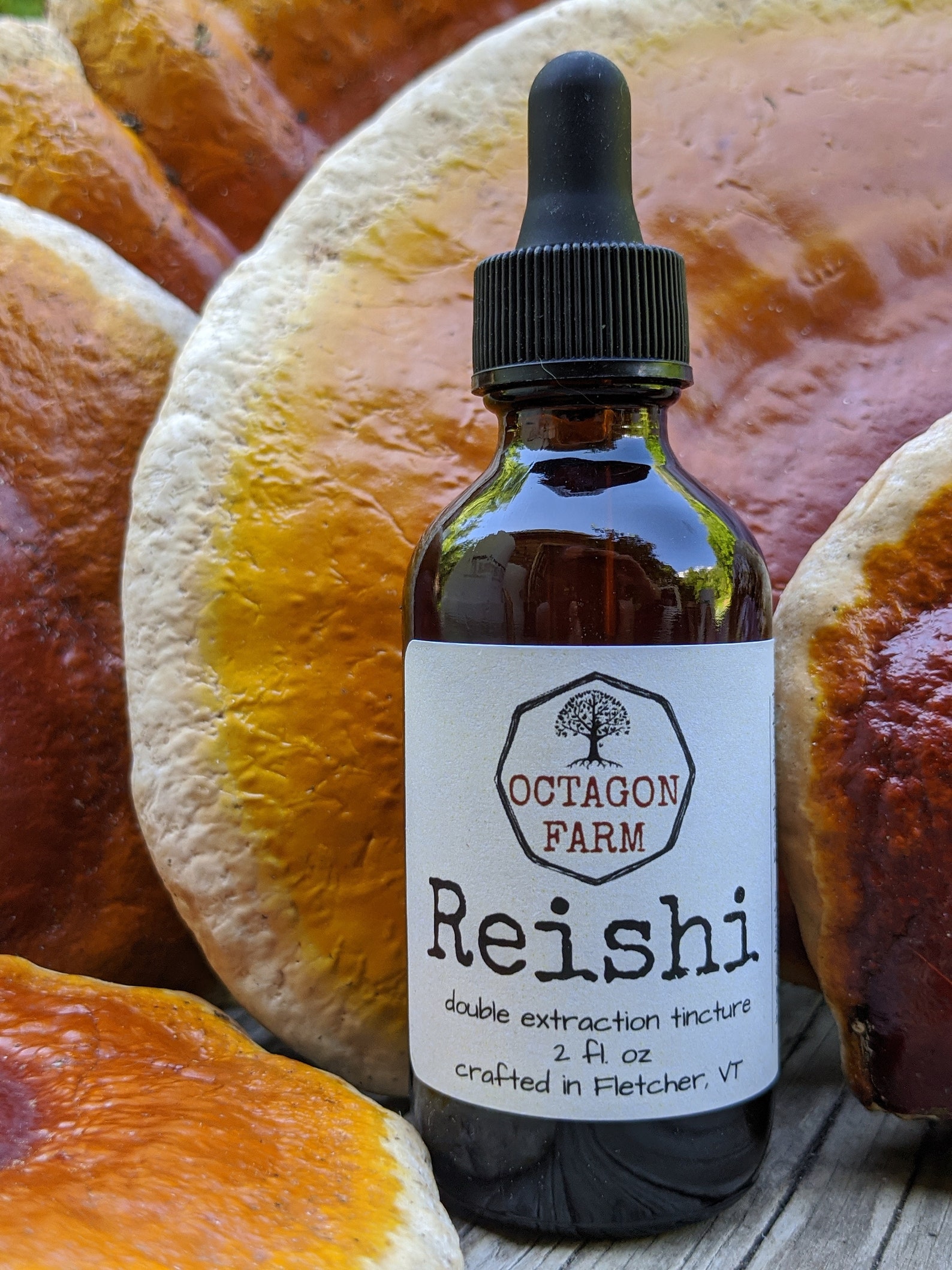 Etsy Reishi Tincture (Double Extraction) product image