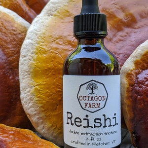 May include: A 2 fl oz bottle of Reishi double extraction tincture from Octagon Farm, crafted in Fletcher, VT. The bottle is brown glass with a black dropper lid and a white label with black text. The bottle is surrounded by several large, brown and orange mushrooms.