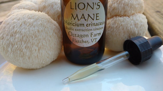 Lion's Mane Tincture double extraction Hericium | Etsy