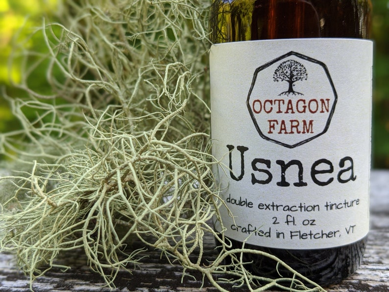 K&ouml;nnte beinhalten: Eine Glasflasche mit einem wei&szlig;en Etikett, auf dem "Octagon Farm Usnea double extraction tincture 2 fl oz crafted in Fletcher, VT" steht. Die Flasche steht auf einer Holzoberfl&auml;che mit einer gr&uuml;nen, belaubten Pflanze im Hintergrund.