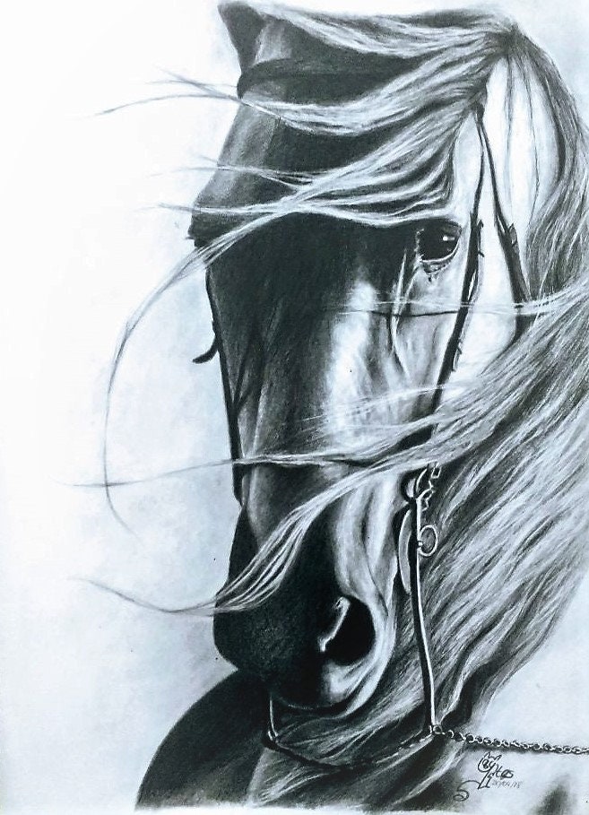 opdracht-op-maat-a5-realistisch-portret-in-grafiet-van-foto-etsy