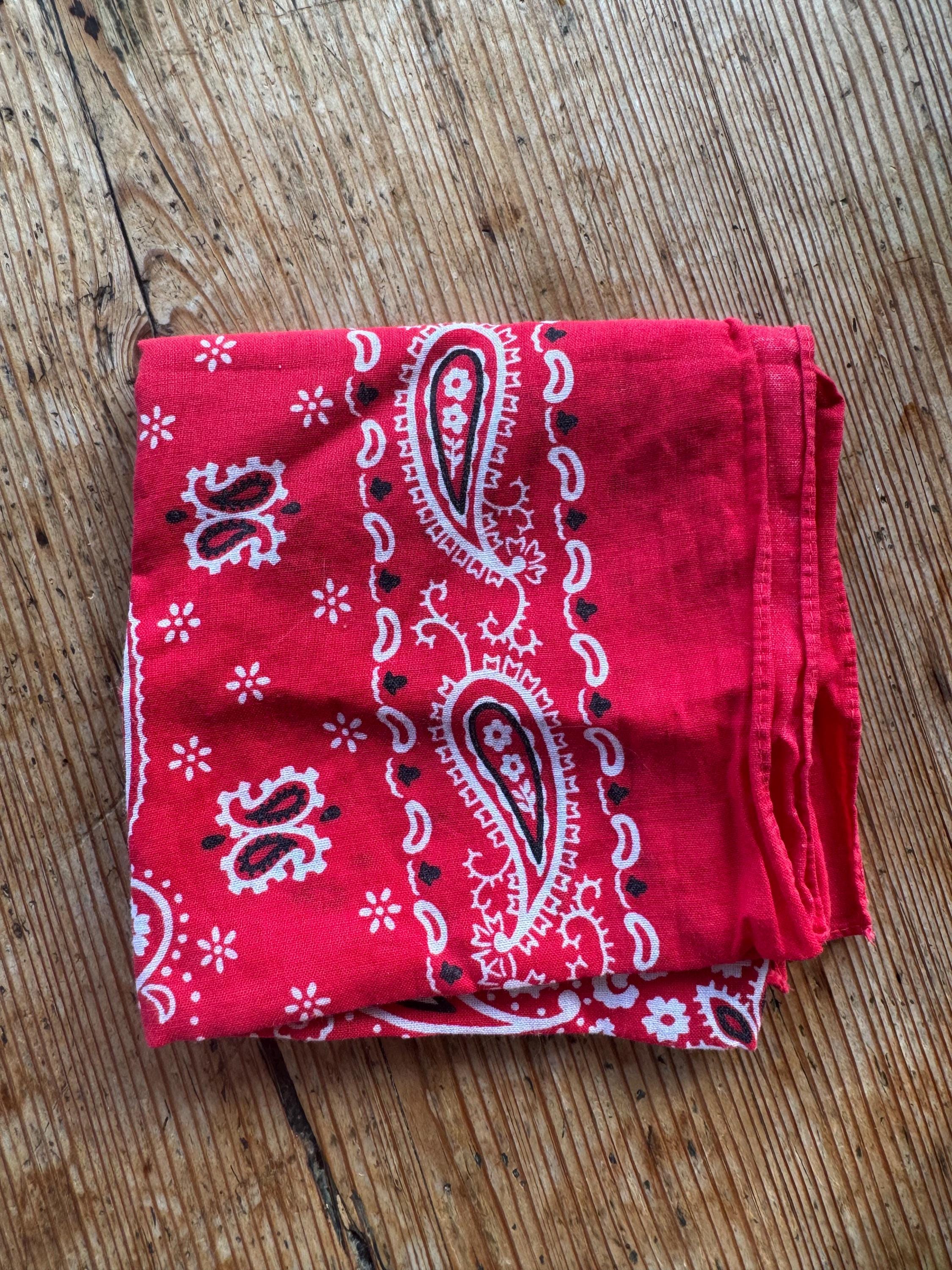 Embroidered Bandana - Red Paisley