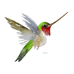 Könnte beinhalten: Aquarellmalerei eines Kolibris im Flug. Der Kolibri ist grün, braun und rot mit einem langen Schnabel. Der Hintergrund ist weiß.