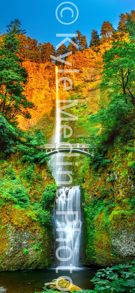 Multnomah Falls Wallpaper Iphone 14 All Models Older Etsy 日本