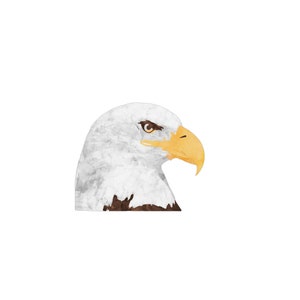 Patriotic bald eagle, eagle head, eagle sign, patriotic wreath, patriotic decor, wreath sign, door hanger, wreath rail, Porch decor,