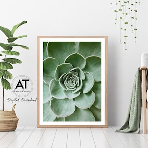 Succulent Print, Cactus Print, Botanical Print, Green Plant, Tropical Wall Art, Nature Wall Art, Printable Wall Art, Digital Download #05