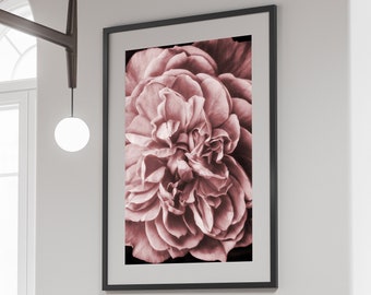 Black and Pink Peony Flower Poster, Peony Poster, Peony Photography Print, Floral Wall Art, Printable Wall Art, Digital Download, Print 01