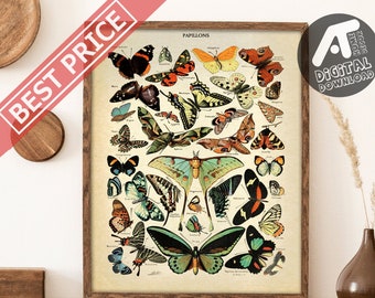 Vintage Butterfly Poster, Butterfly Art Print, Butterfly Wall Art, Adolphe Millot, Digital Printable Wall Art, Instant Digital Download