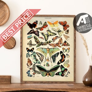 Vintage Butterfly Poster, Butterfly Art Print, Butterfly Wall Art, Adolphe Millot, Digital Printable Wall Art, Instant Digital Download