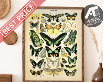 Vintage Butterfly Poster, Butterfly Art Print, Butterfly Wall Art, Adolphe Millot, Digital Printable Wall Art, Instant Digital Download