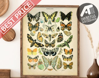 Vintage Butterfly Poster, Butterfly Art Print, Butterfly Wall Art, Adolphe Millot, Digital Printable Wall Art, Instant Digital Download