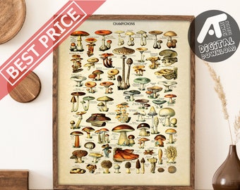 Vintage Mushrooms Poster, Antique Botanical Print, Adolphe Millot Champignons Poster, Digital Printable Wall Art, Instant Digital Download