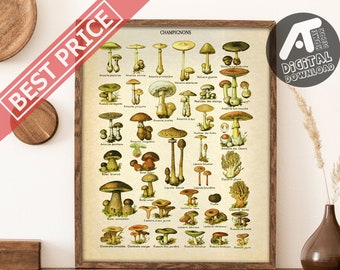 Vintage Pilze Poster, antike botanische Druck, Adolphe Millot Champignons Poster, Digital druckbare Wandkunst, sofortiger digitaler Download