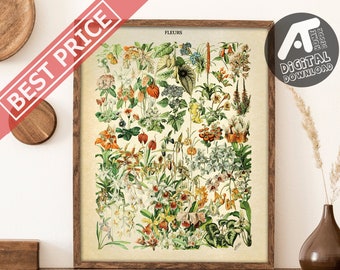 Vintage Blumen Poster, Blumendruck, antike botanische Poster, Adolphe Millot Poster, Digital druckbare Wandkunst, sofortiger digitaler Download