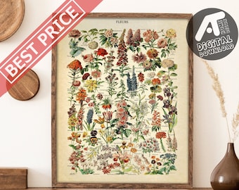 Vintage Flowers Poster, Floral Print, Antique Botanical Poster, Adolphe Millot Poster, Digital Printable Wall Art, Instant Digital Download