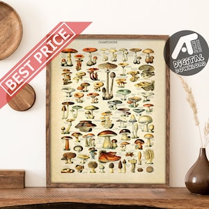 Vintage Mushrooms Poster, Antique Botanical Print, Adolphe Millot Champignons Poster, Digital Printable Wall Art, Instant Digital Download