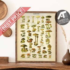 Vintage Mushrooms Poster, Antique Botanical Print, Adolphe Millot Champignons Poster, Digital Printable Wall Art, Instant Digital Download