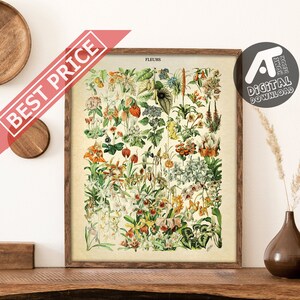 Vintage Flowers Poster, Floral Print, Antique Botanical Poster, Adolphe Millot Poster, Digital Printable Wall Art, Instant Digital Download