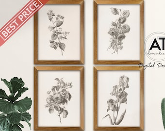 Vintage Botanical Sketch Prints, Set of 4 Prints, Botanical Print, Antique Illustration Flower Print, Printable Wall Art, Digital Download D