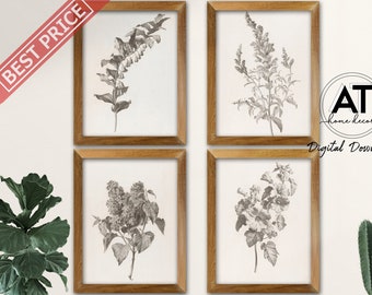 Vintage Botanical Sketch Prints, Set of 4 Prints, Botanical Print, Antique Illustration Flower Print, Printable Wall Art, Digital Download E