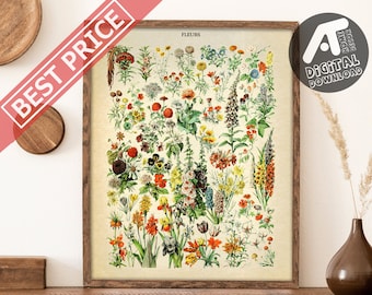 Vintage bloemen poster, bloemenprint, antieke botanische poster, Adolphe Millot Poster, digitale afdrukbare muur kunst, Instant Digitale Download