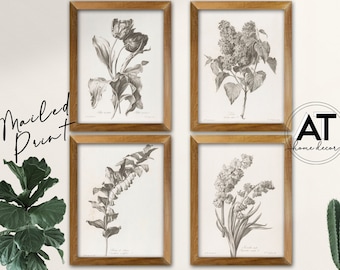 Vintage Botanical Sketch Print Set, Set of 4 Prints, Botanical Print Set, Antique Illustration Flower Print, Canvas Print, Printed on Canvas