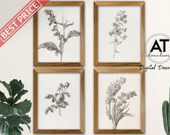 Vintage Botanical Sketch Prints, Set of 4 Prints, Botanical Print, Antique Illustration Flower Print, Printable Wall Art, Digital Download B