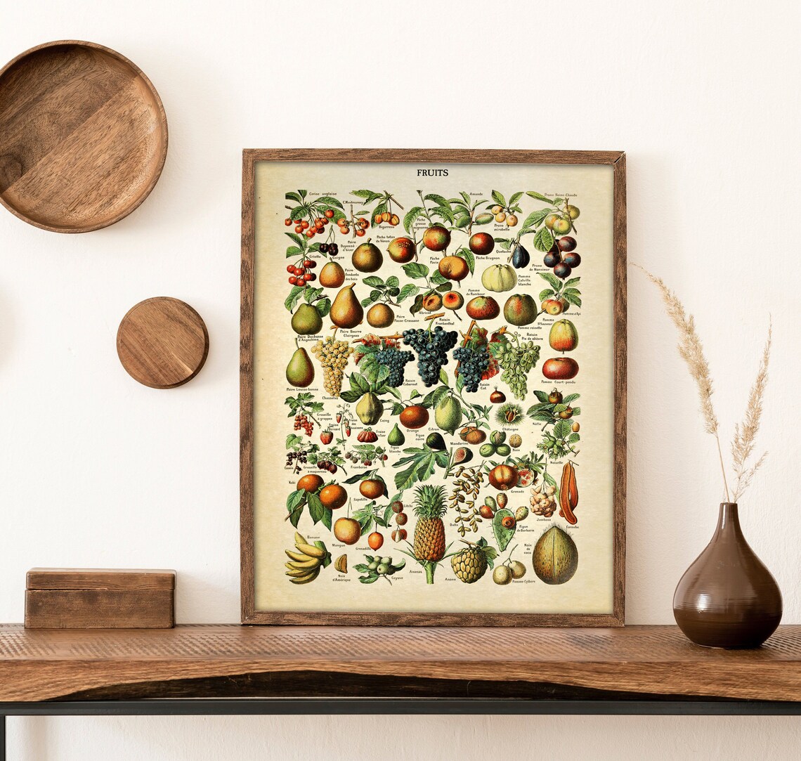 Vintage Fruits Poster Fruits Print Antique Botanical Poster Etsy