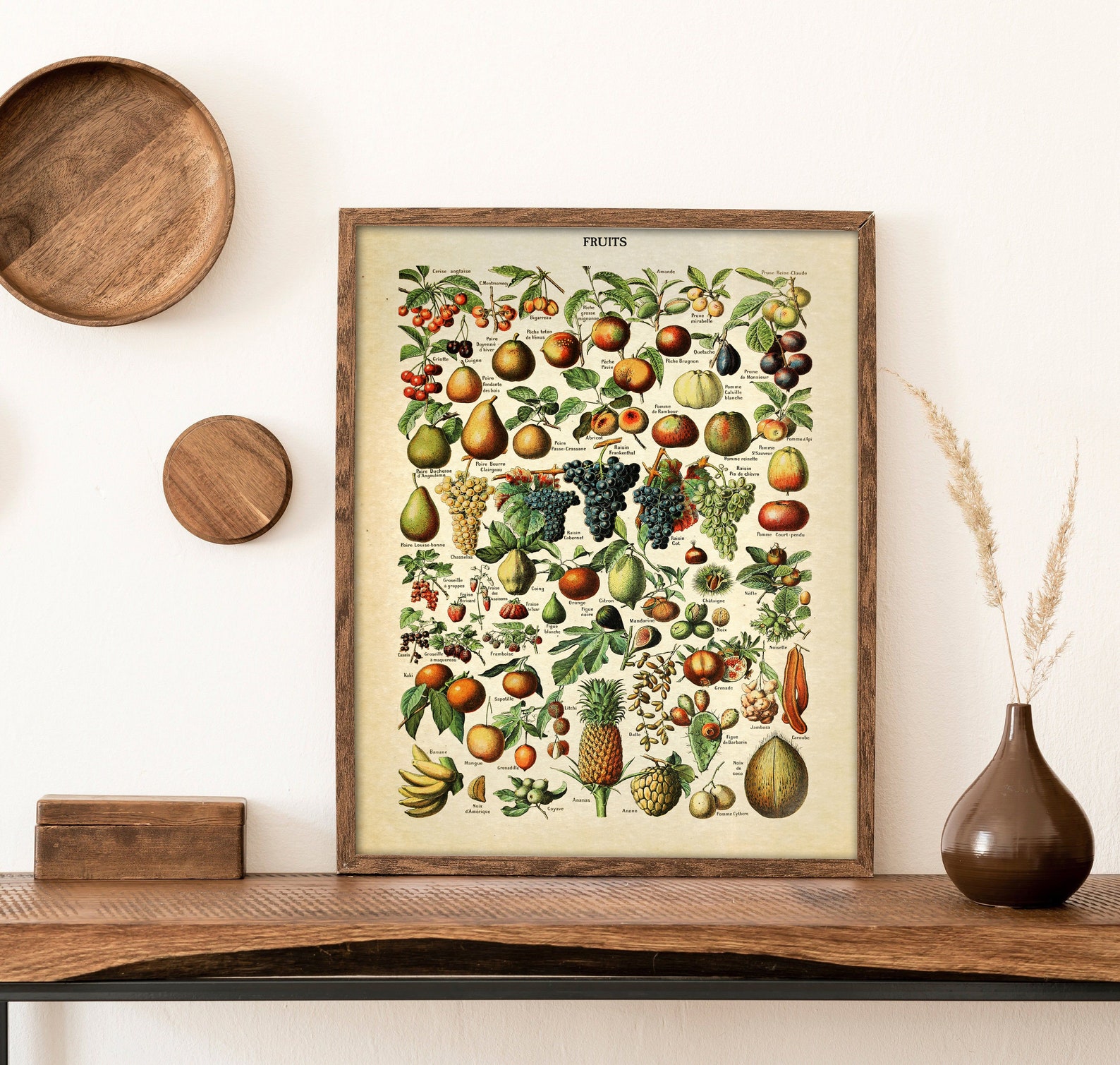 Vintage Fruits Poster Fruits Print Antique Botanical Poster - Etsy