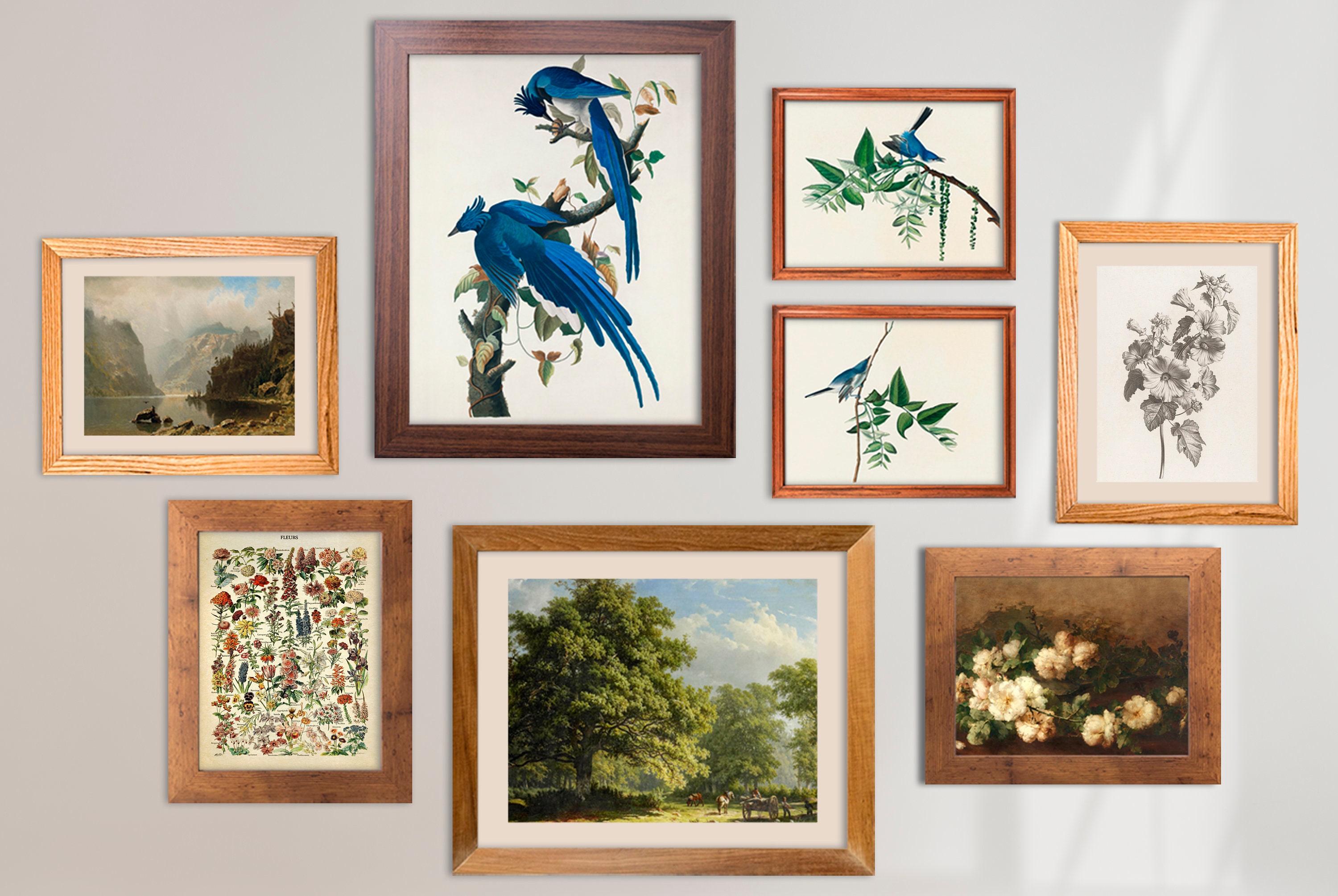 Antique Gallery Wall Prints Set of 8 Prints Vintage Gallery Etsy