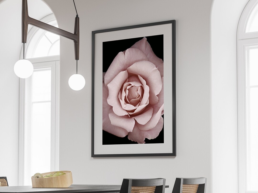 Black and Pink Rose Flower Wall Art Print, Rose Wall Art, Floral Wall ...