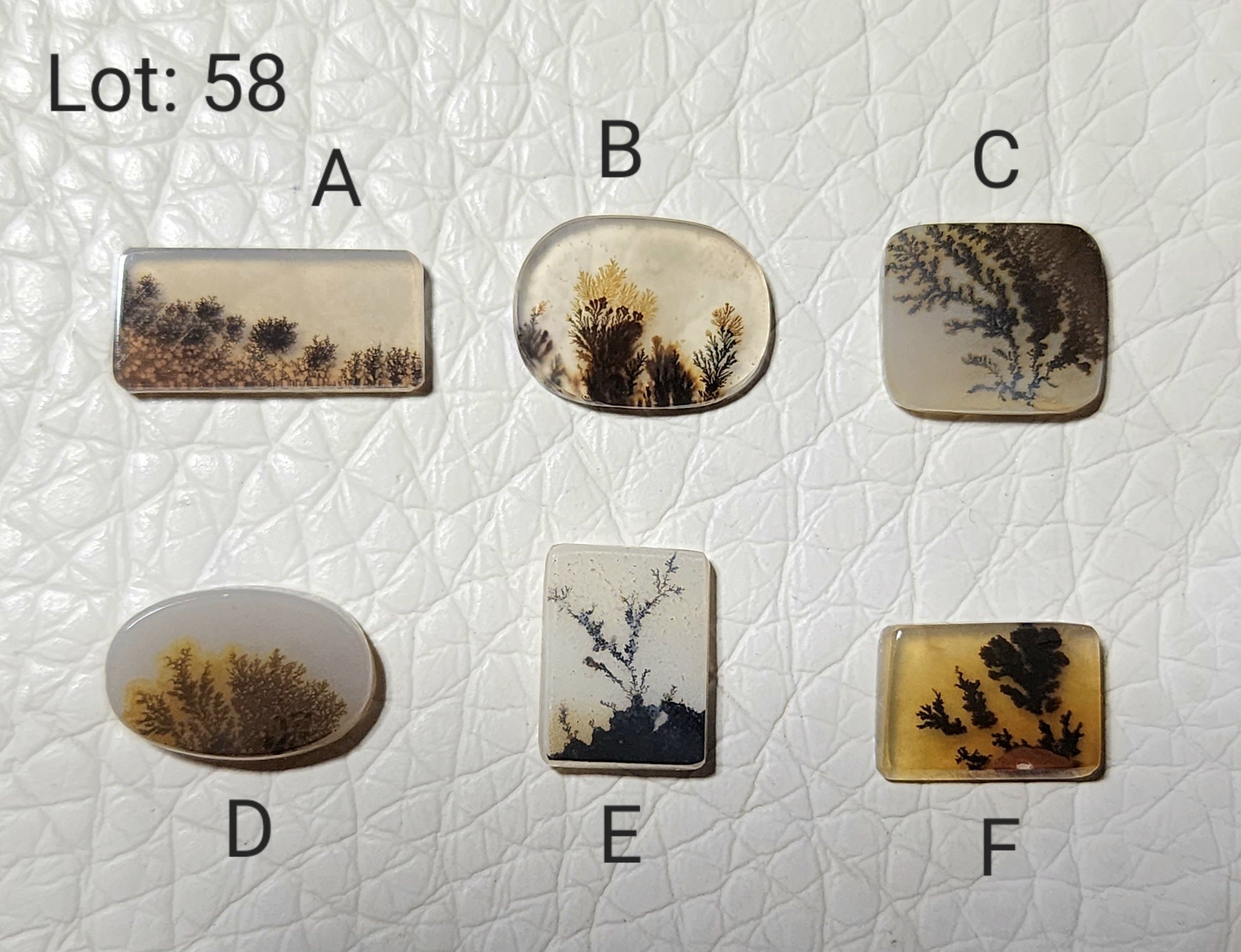 AAA Dendritic Agate cabochon. Natural Scenic Dendritic Agate loose gemstone. (Lot: 58)