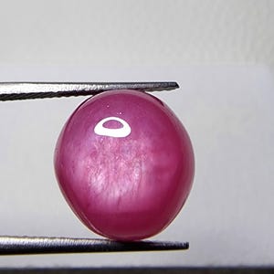 Op de afbeelding: Een gepolijste, ovale robijn edelsteen, vastgehouden door een pincet. De edelsteen heeft een diepe, verzadigde roze-rode kleur met een glad, reflecterend oppervlak. De pincet is zilverkleurig en houdt de edelsteen tegen een witte achtergrond.