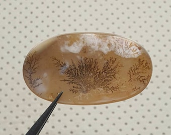 Könnte beinhalten: Ein hellbrauner Achat-Cabochon mit einem dendritischen Muster in Brauntönen. Der Achat hat ein weißes, wolkenartiges Muster in der Mitte.