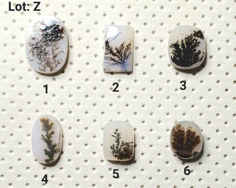 Dendritic Agate cabochon. Natural Scenic Dendritic Agate loose gemstone. (Lot: Z)