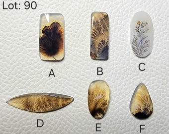 May include: Lot 90: Six agate cabochons with dendritic patterns in shades of brown, white, and black. The cabochons are labeled A through F.