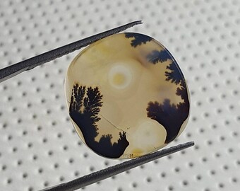 Könnte beinhalten: Ein runder, hellbrauner Achat-Cabochon mit einem dendritischen Muster aus dunkelbraun und schwarz. Der Achat hat eine weiße Mitte mit einem kreisförmigen Muster.