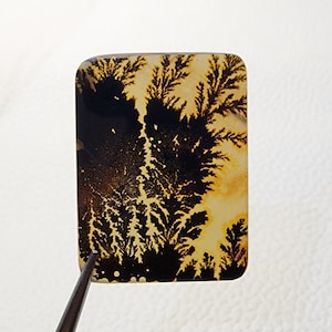 May include: A rectangular piece of polished agate with a dendritic pattern. The agate is a light brown color with black dendrites that resemble branches or ferns.
