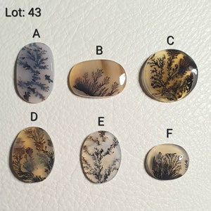 Dendritic Agate cabochon. Natural Scenic Dendritic Agate loose gemstone. (Lot: 43)