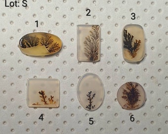 AAA Dendritic Agate tiny cabochon. Natural Scenic Dendritic Agate loose gemstone. (Lot:S)