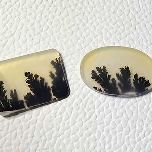 May include: Two agate cabochons with dendritic patterns. The cabochons are a light beige color with black dendritic patterns. One cabochon is rectangular and the other is oval.