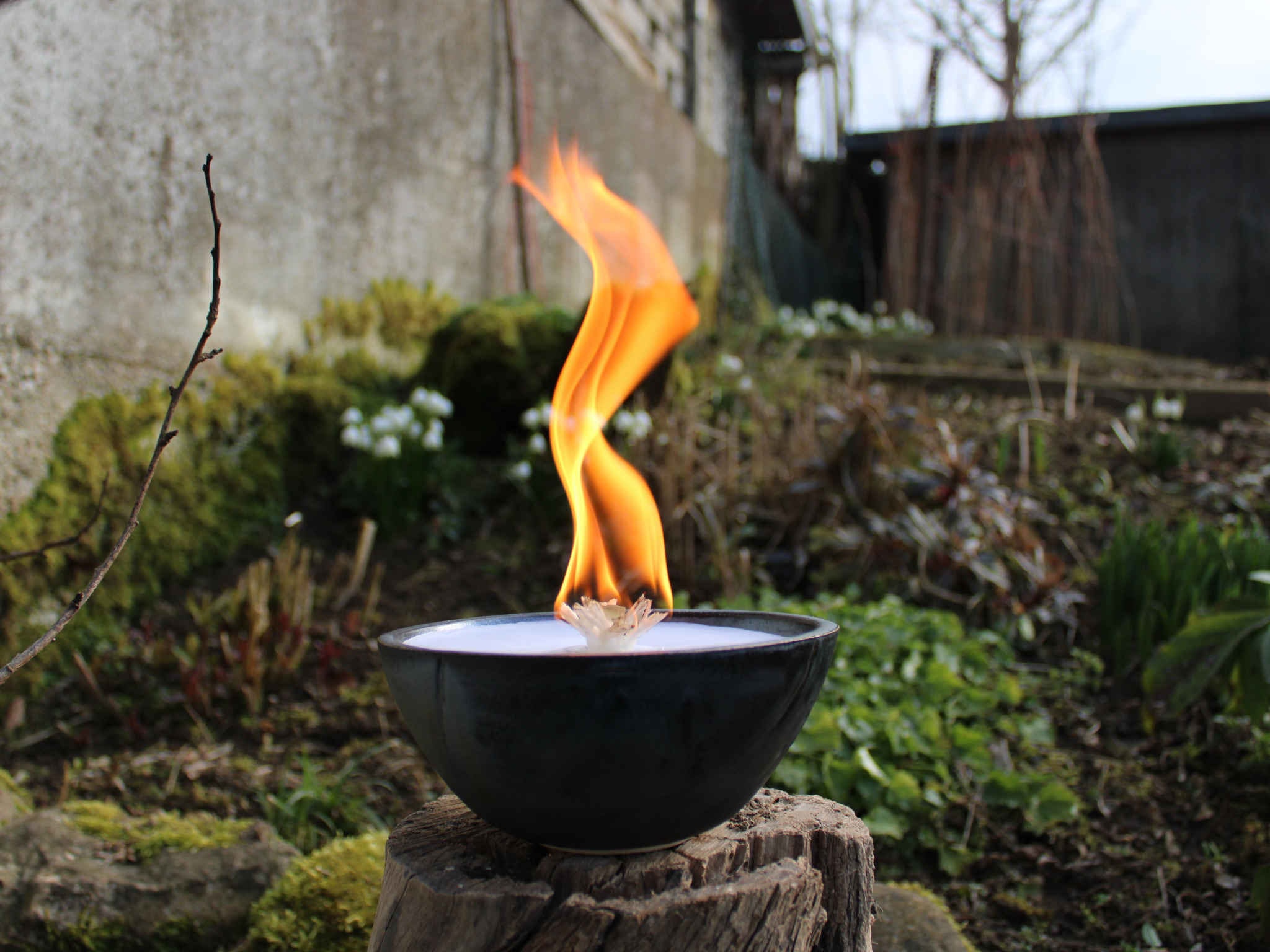 Stoppini In Legno Per Candele Permanenti - Per Mangiatori Di Cera, Fiamma Lunga, Ecologici (Confezione Multipla)