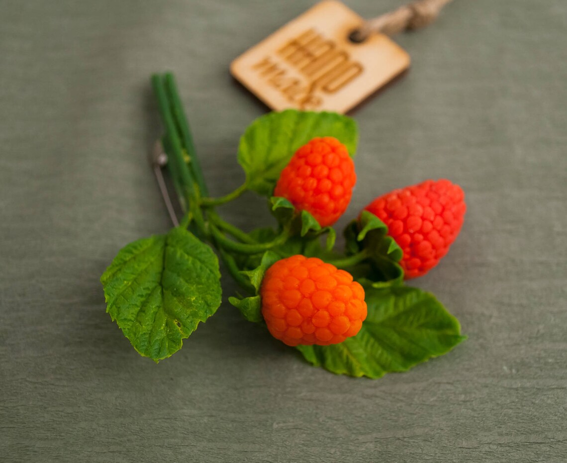 Raspberries Brooch Hair Clips Hair Twig Hair Pins Etsy